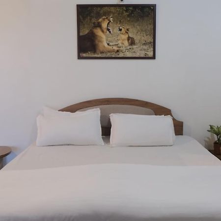 Hotel Ashirwad Джунагад Екстериор снимка
